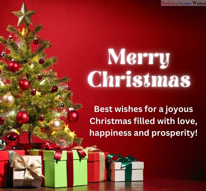 Merry Christmas wishes - 2025